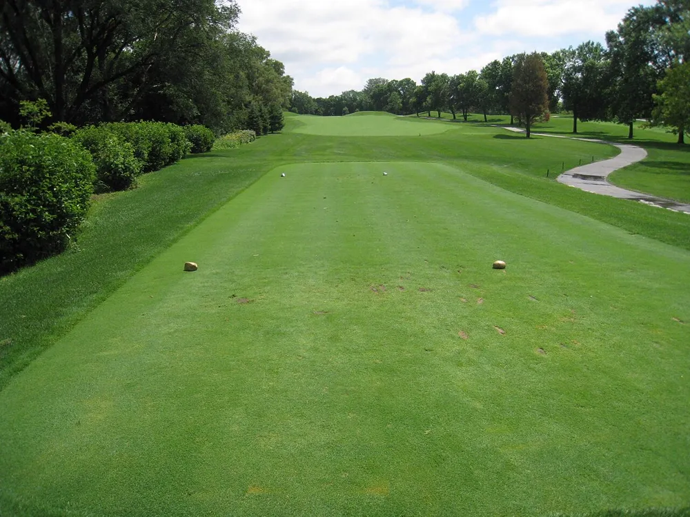 Empty tee box with tee markers on a tree-lined golf course in Illinois, illustrating professional golf content on Instagram in the US